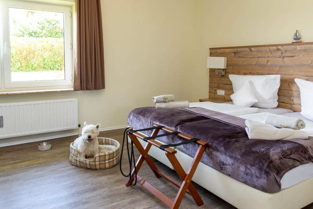 urlaub-mit-hund-im-hotel